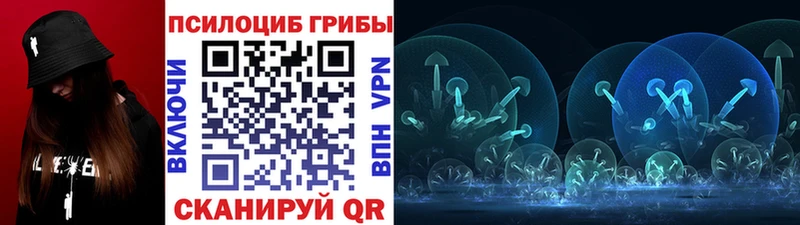 Псилоцибиновые грибы Psilocybe  наркошоп  Хадыженск 